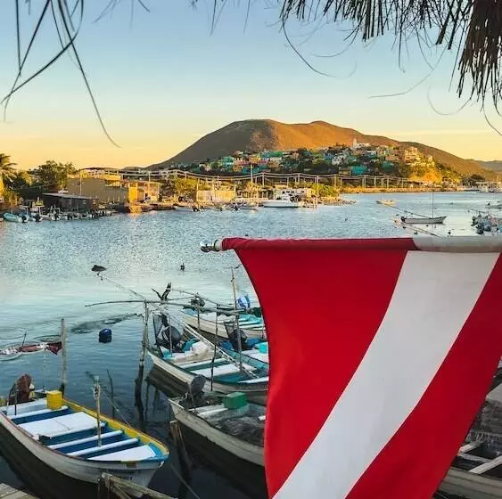 ホテル Sealion Dive Center