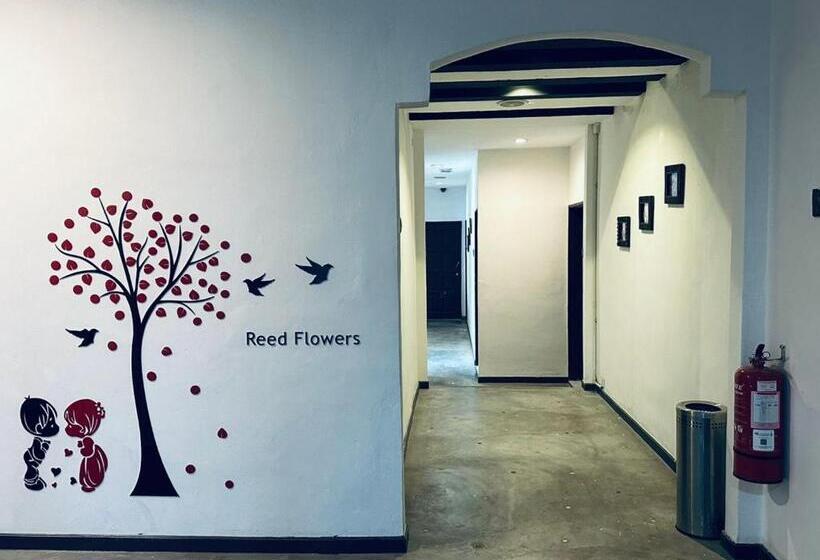 הוסטל Kuu Inn Motel