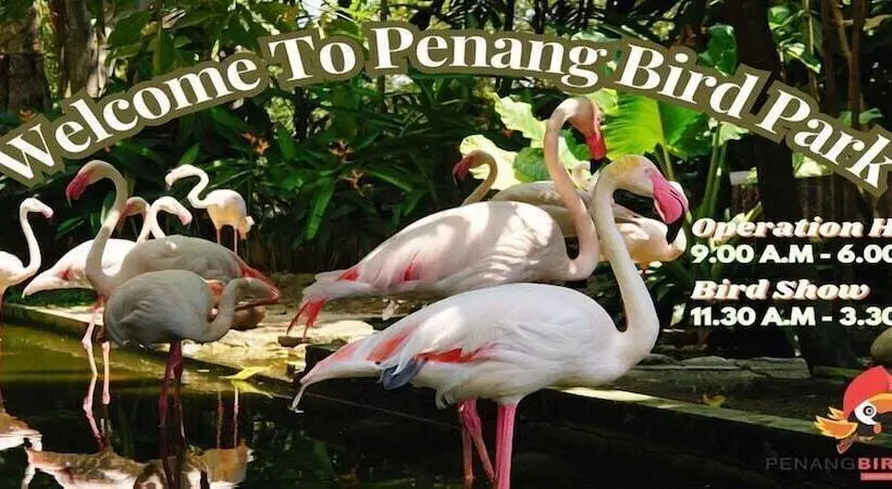 ホテル Crowne Plaza Penang Straits City By Ihg