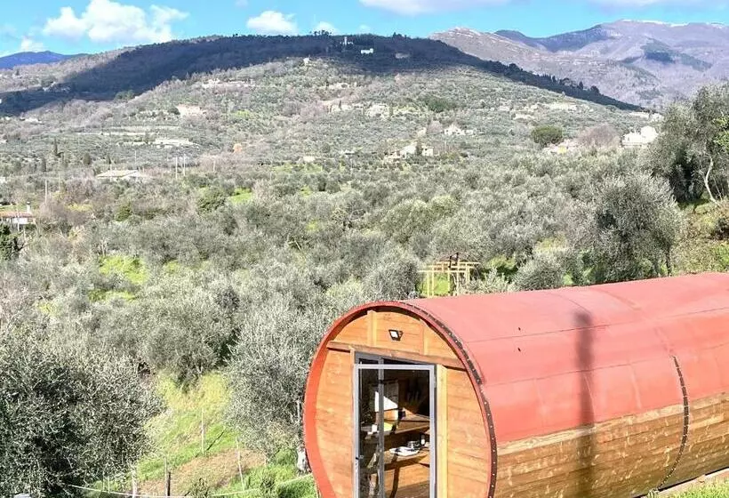 هتل Le Botti Fiorentine