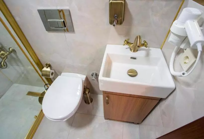 Hotelli Sayina