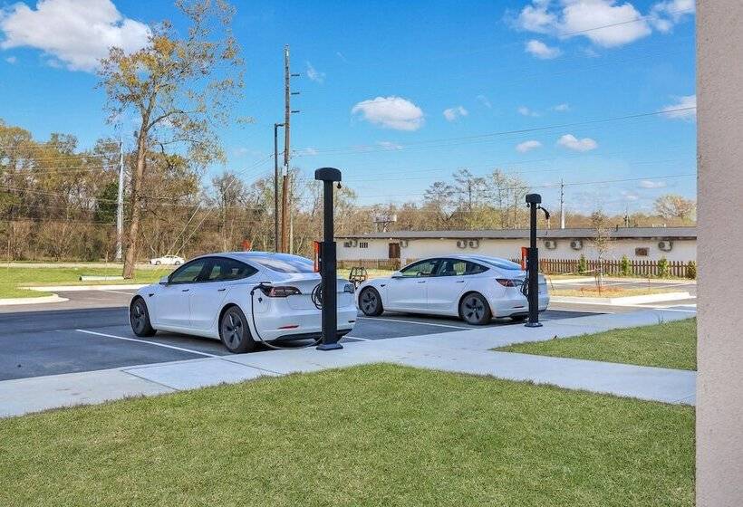 فندق The Kingston