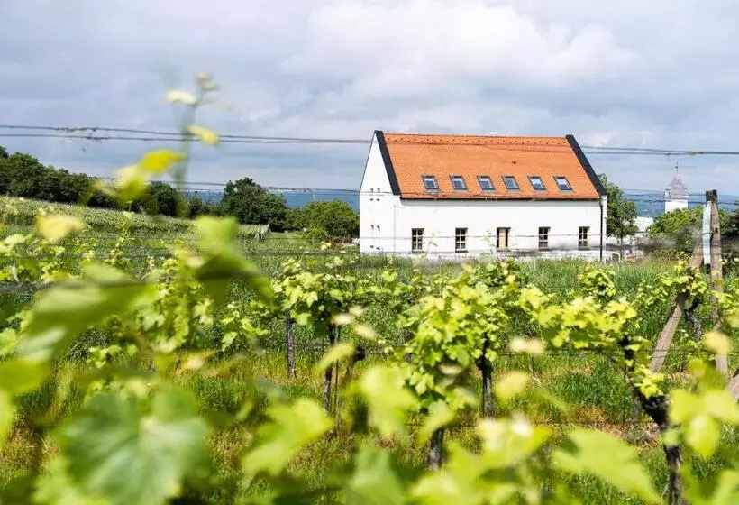 ペンション Penzion Nad Pavlovem