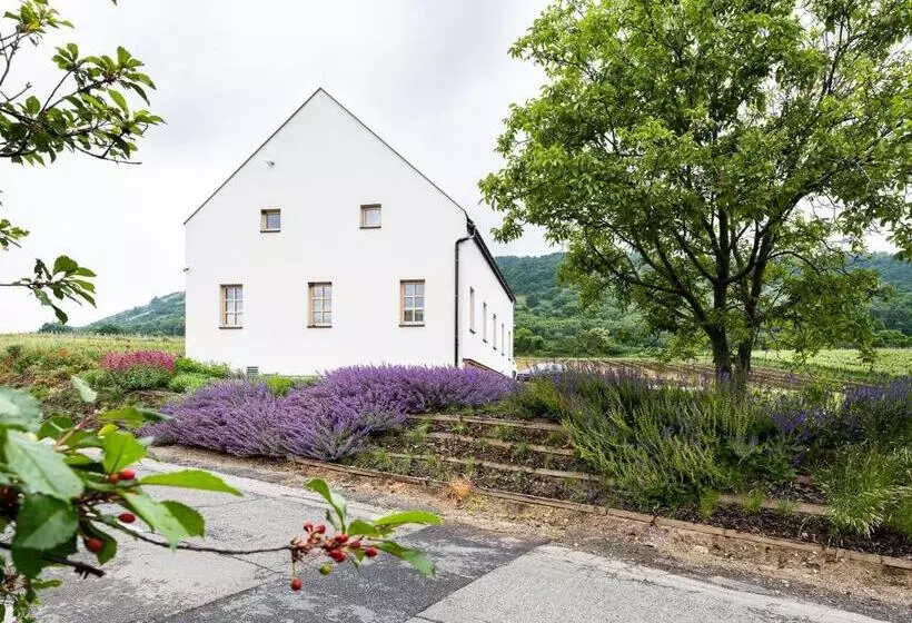 ペンション Penzion Nad Pavlovem