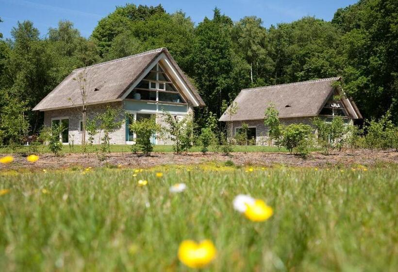 리조트 Summio Buitenplaats De Marke Van Ruinen