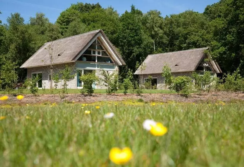 Lomakeskus Summio Buitenplaats De Marke Van Ruinen