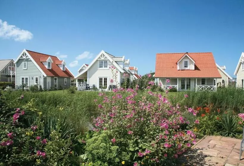 Lomakeskus Summio Duynparc De Heeren Van S Gravensande