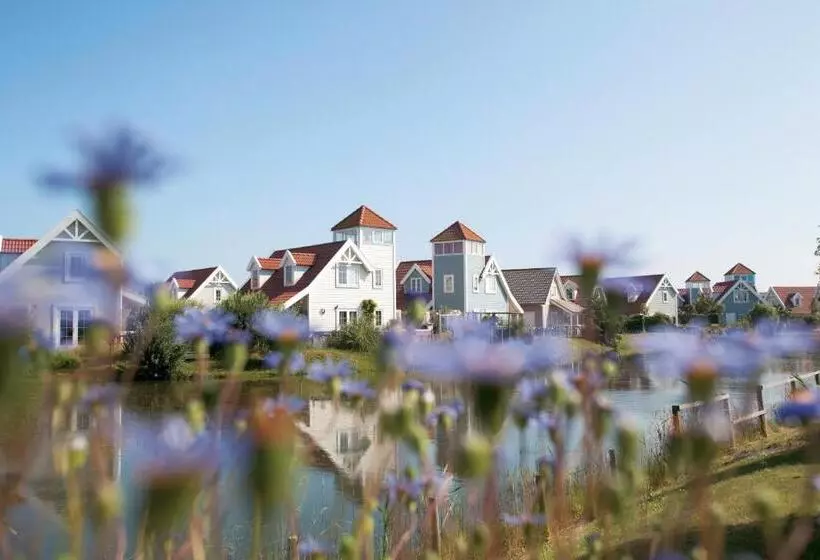 Lomakeskus Summio Duynparc De Heeren Van S Gravensande