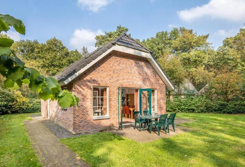 渡假胜地  Landgoed Het Grote Zand