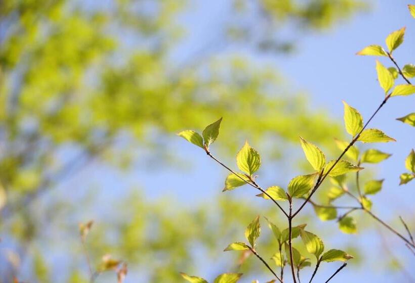 Ryokan 天童荘 Tendoso