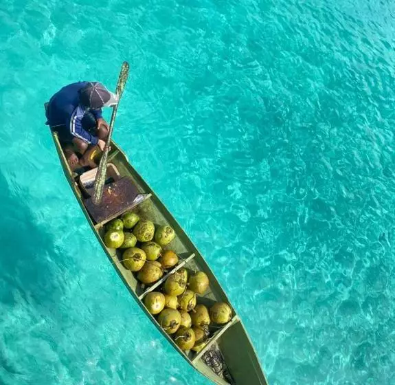 Adil Waterhouse Resort