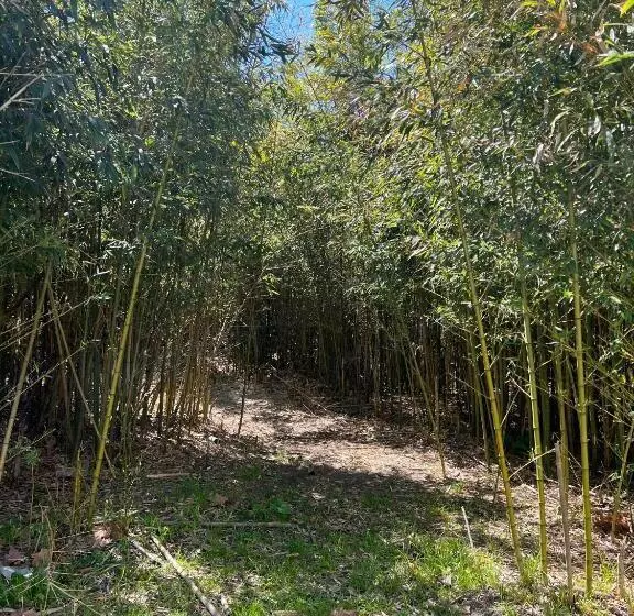 Estancia Santa Rita