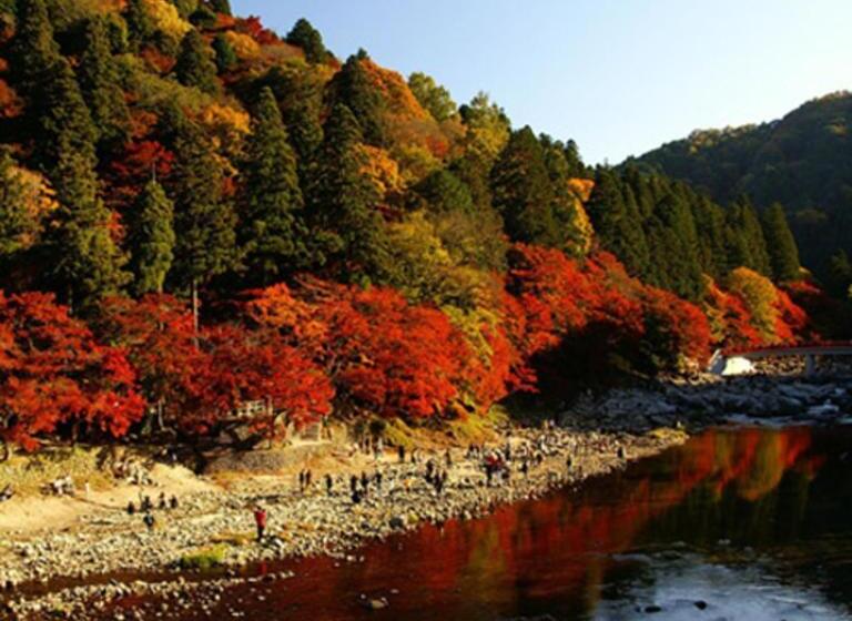 酒店 Kyukamura Chausuyama Kogen