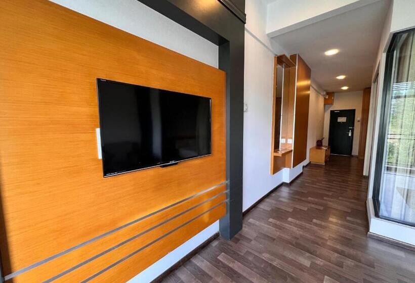 Studio Apartment  Fantastic Mountain View