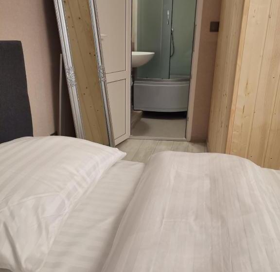 Общежитие апартаменты в центре ужгорода скала