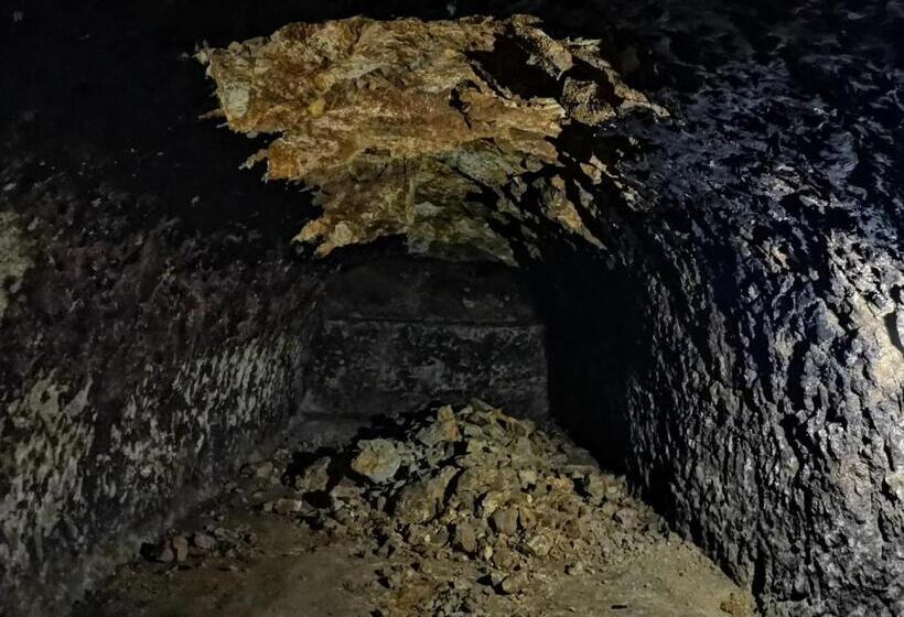 Общежитие апартаменты в центре ужгорода скала