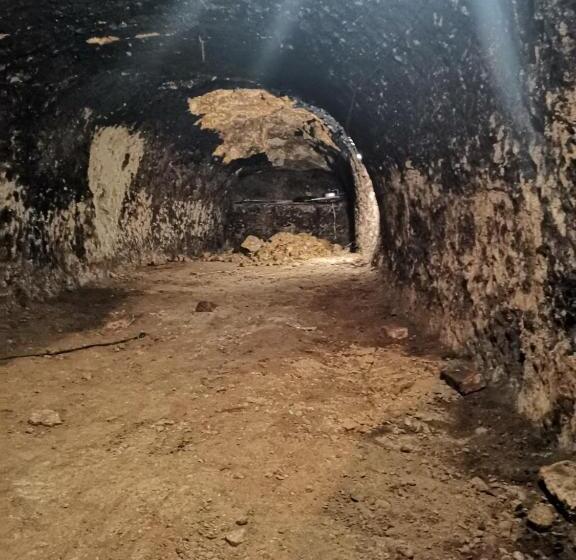 Общежитие апартаменты в центре ужгорода скала