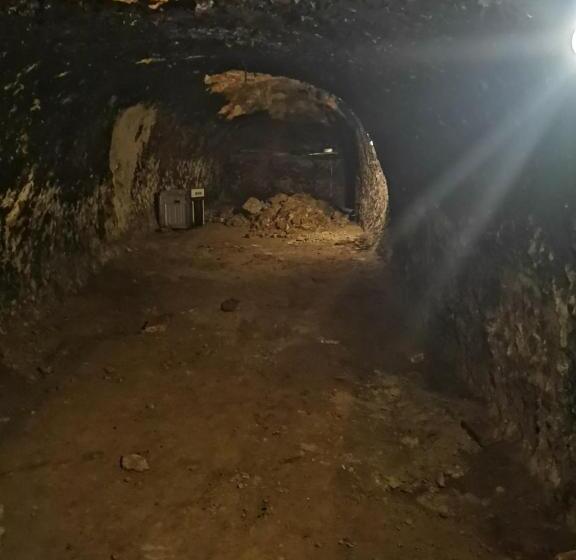 Общежитие апартаменты в центре ужгорода скала