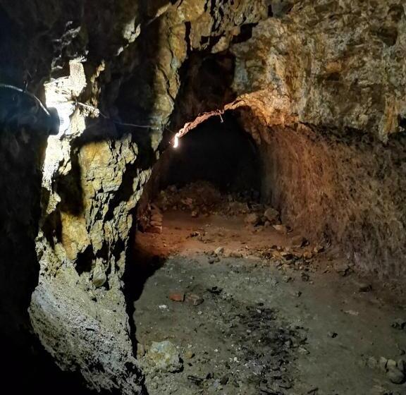 Общежитие апартаменты в центре ужгорода скала