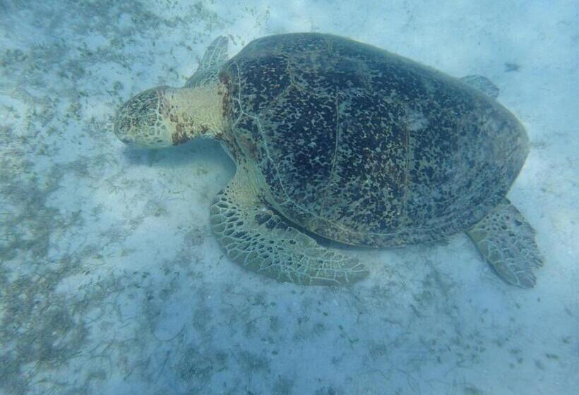 Общежитие Z&z Budget Room