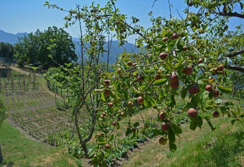 هتل Agriturismo Monte Pu