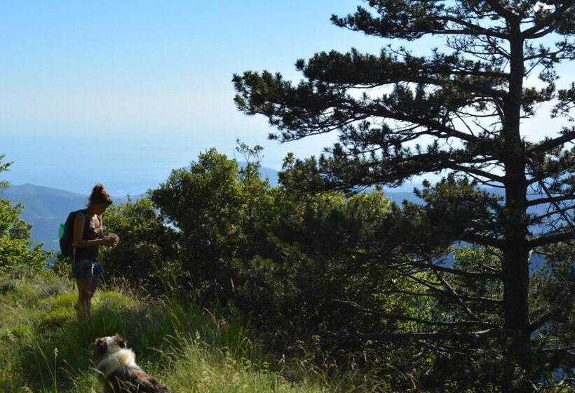 هتل Agriturismo Monte Pu