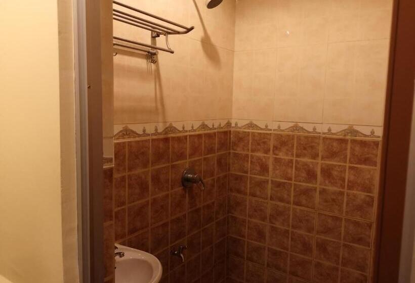 בית מלון כפרי Ambassador 1