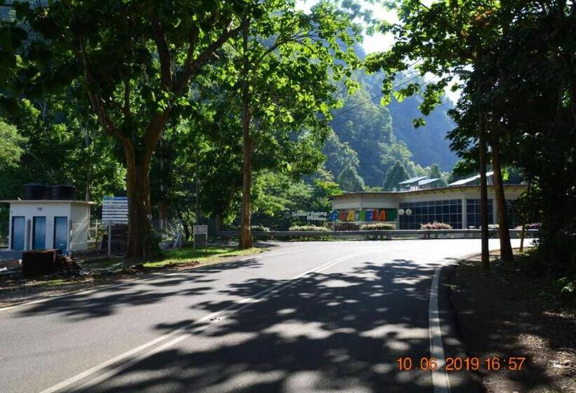 カプセルホテル Guest House Gua Kelam