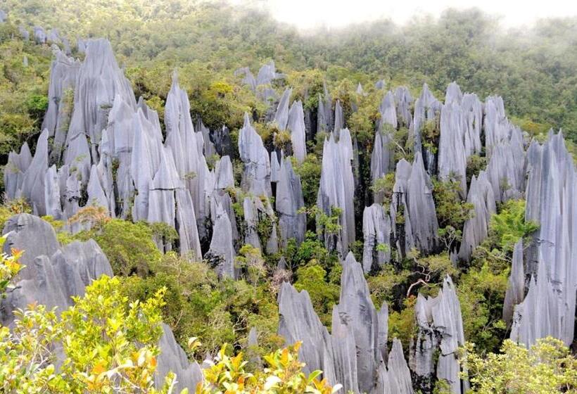 בית מלון כפרי Mulu National Park