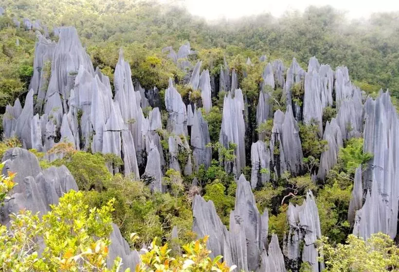 Hotelli Mulu National Park