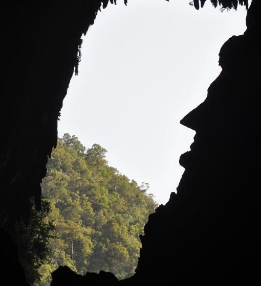 בית מלון כפרי Mulu National Park