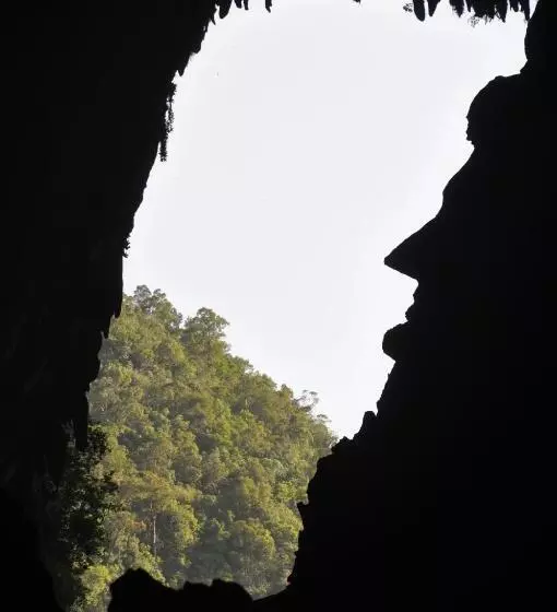 Hotelli Mulu National Park