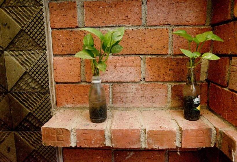 בית מלון כפרי The Serai Cottage Downtown