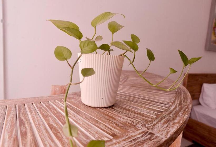 בית מלון כפרי The Serai Cottage Downtown