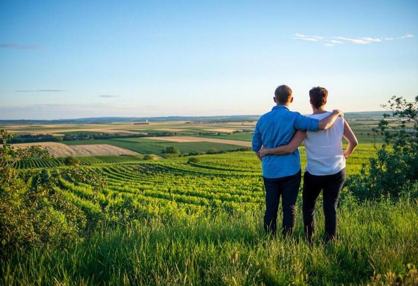 펜션 Weingut Breitenfelder