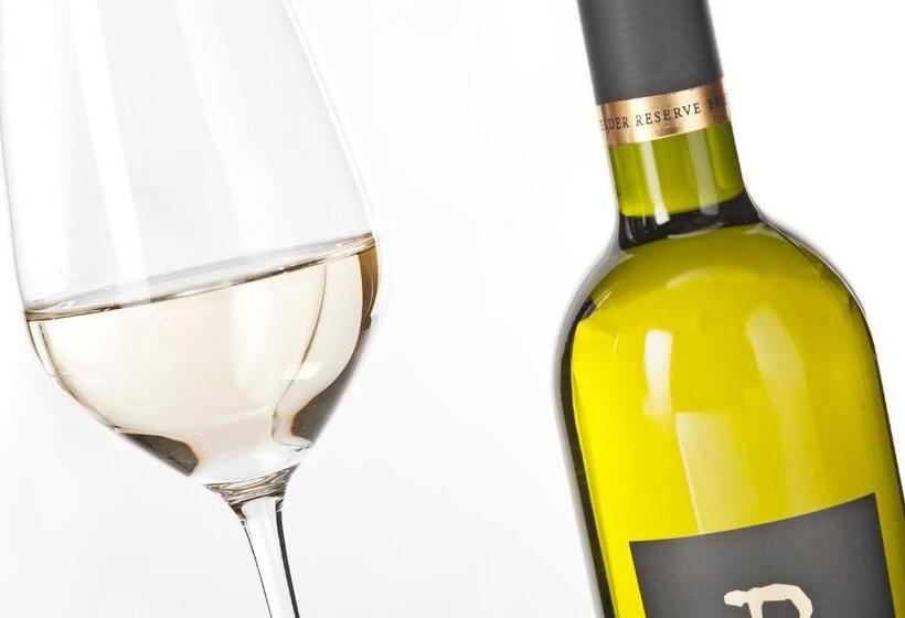 펜션 Weingut Breitenfelder