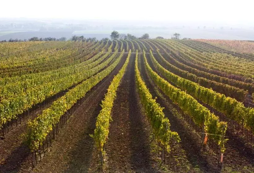 ペンション Weingut Breitenfelder
