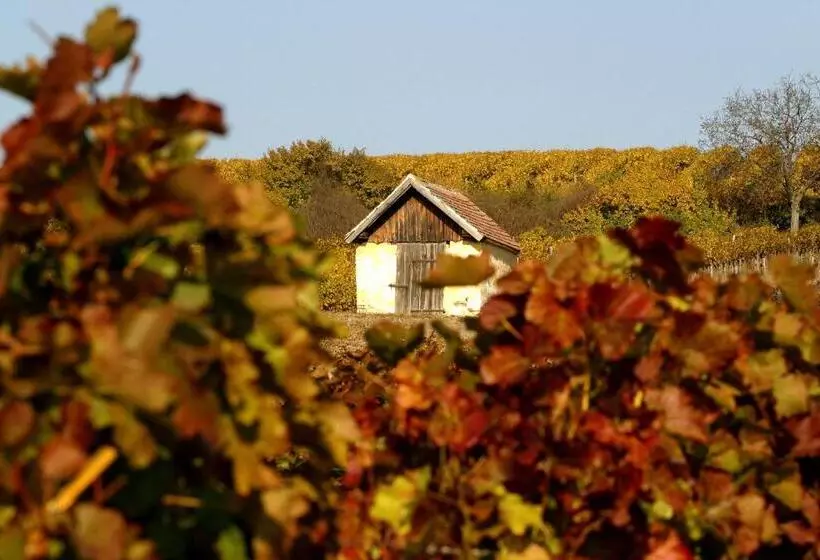 ペンション Weingut Breitenfelder