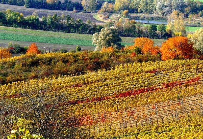 펜션 Weingut Breitenfelder