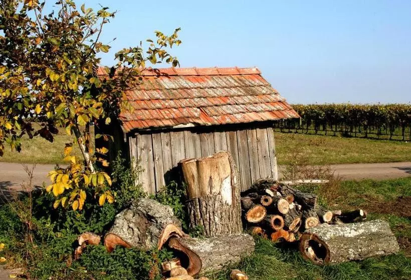 ペンション Weingut Breitenfelder