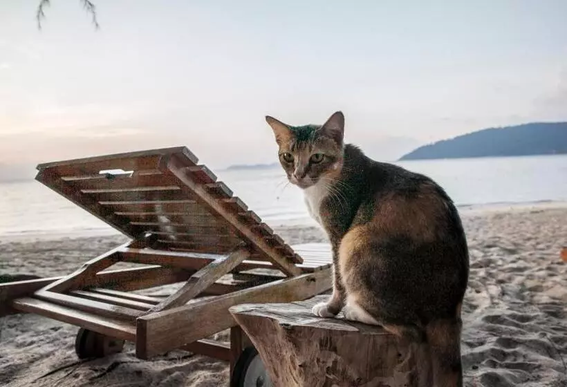 ユースホステル Swiss Cottage Tioman
