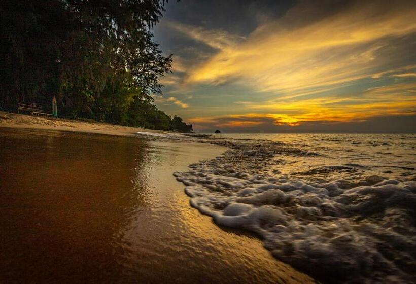 旅馆 Swiss Cottage Tioman