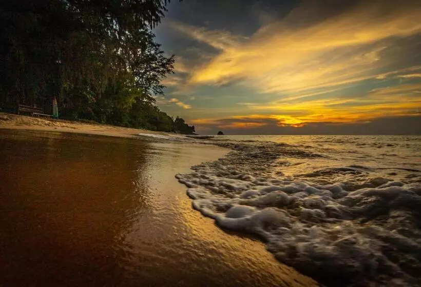 ユースホステル Swiss Cottage Tioman