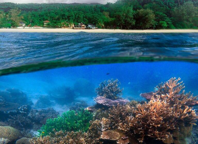 旅馆 Swiss Cottage Tioman