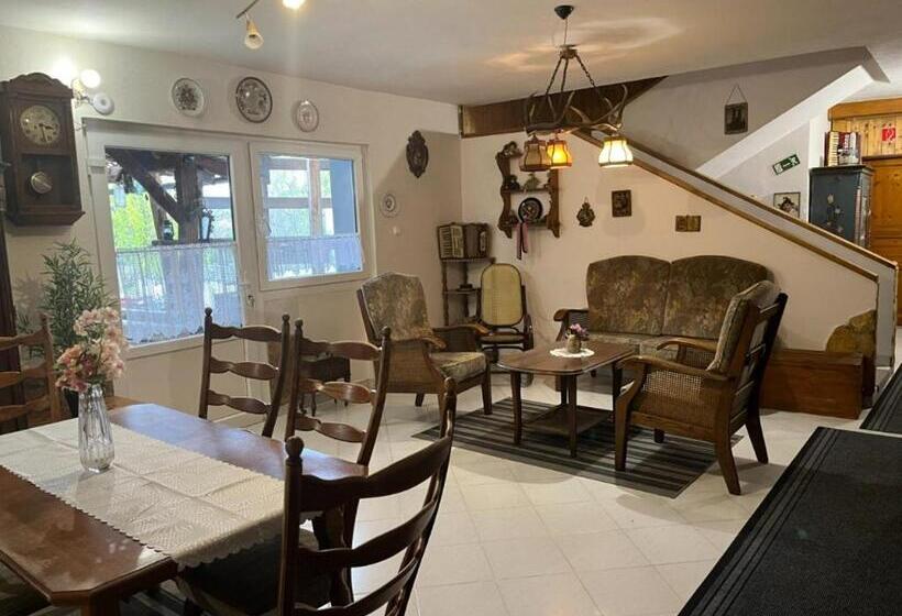 مبيت وإفطار Lenzl S Panzió