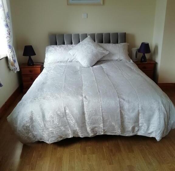 مبيت وإفطار Lisduvogue House