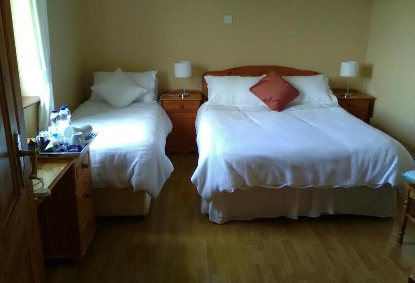 مبيت وإفطار Lisduvogue House