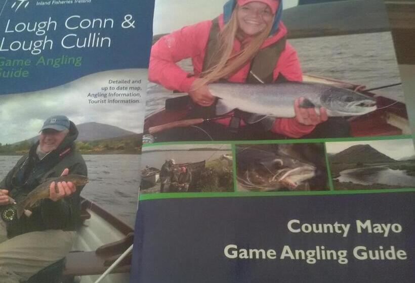 مبيت وإفطار Lisduvogue House