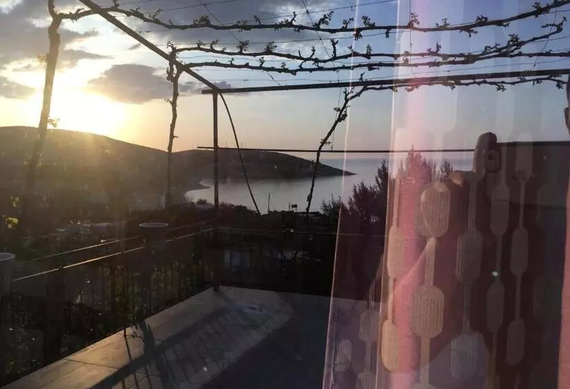 Aamiaismajoitus (B&B) Valentina Rooms