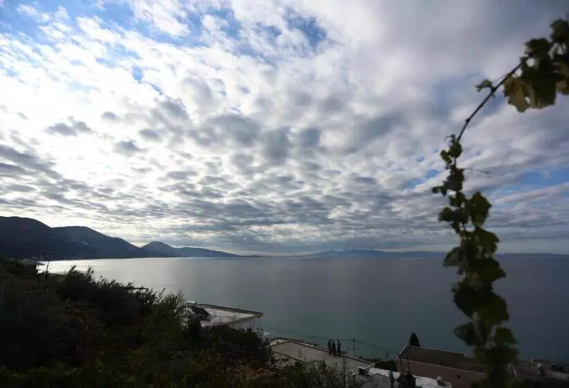 Aamiaismajoitus (B&B) Valentina Rooms